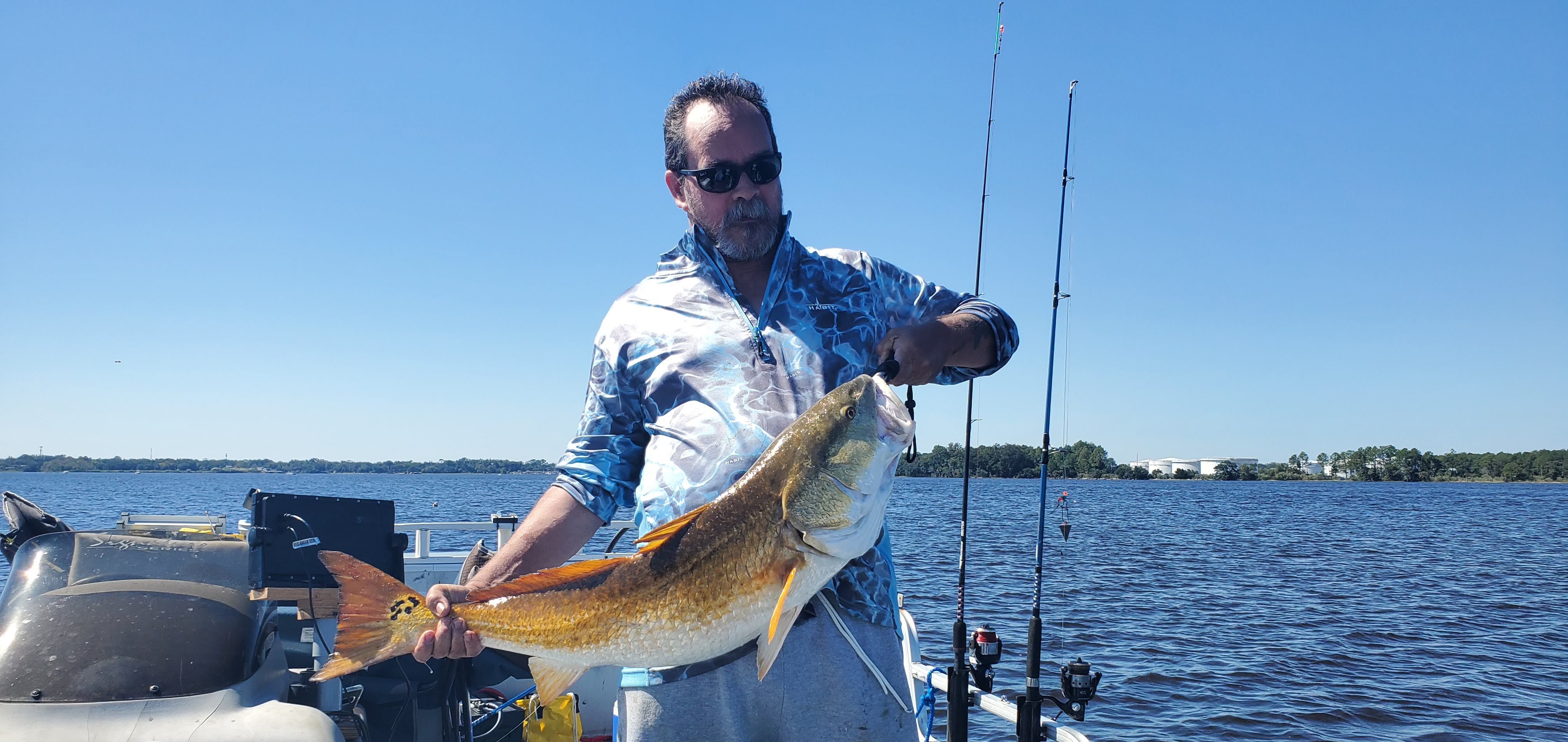 42" Red Drum caught in mid October, Bottom fishing with squid.